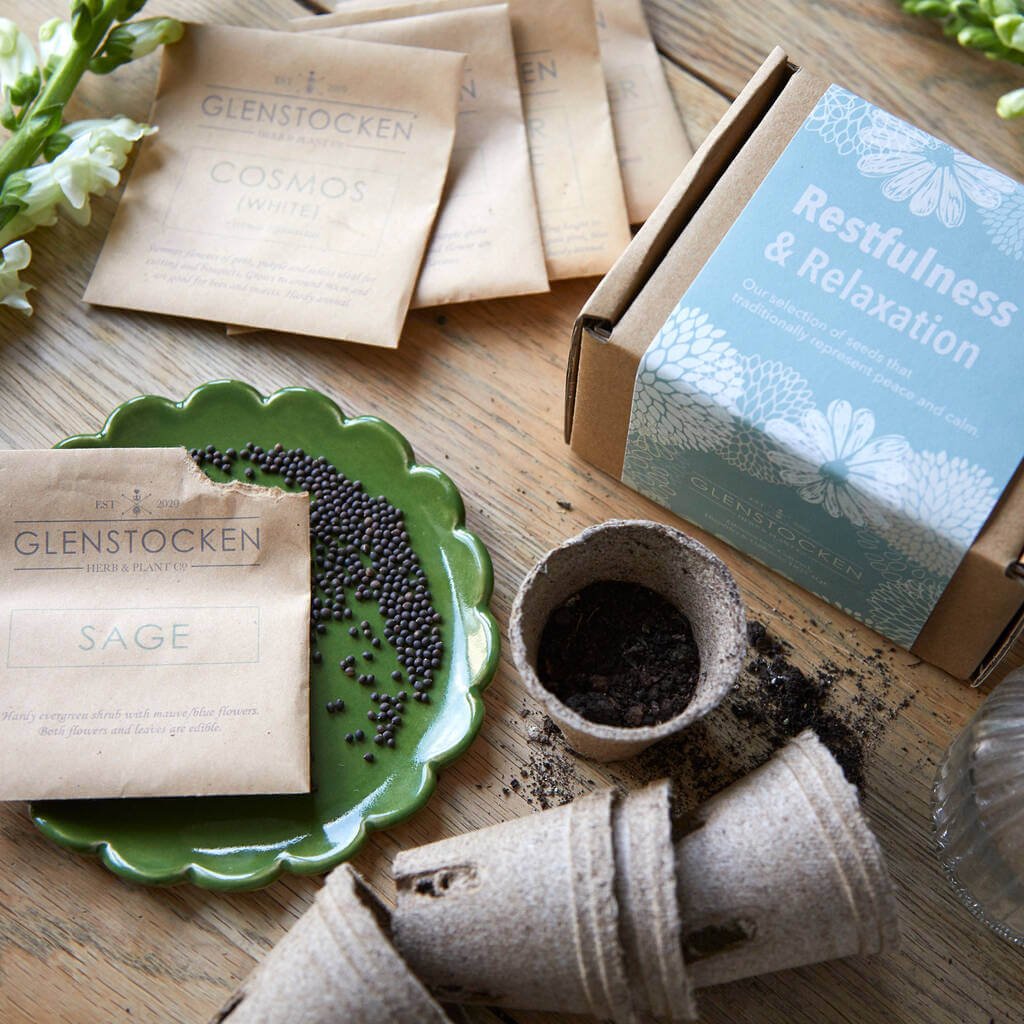 original_reflective-mood-seed-kits